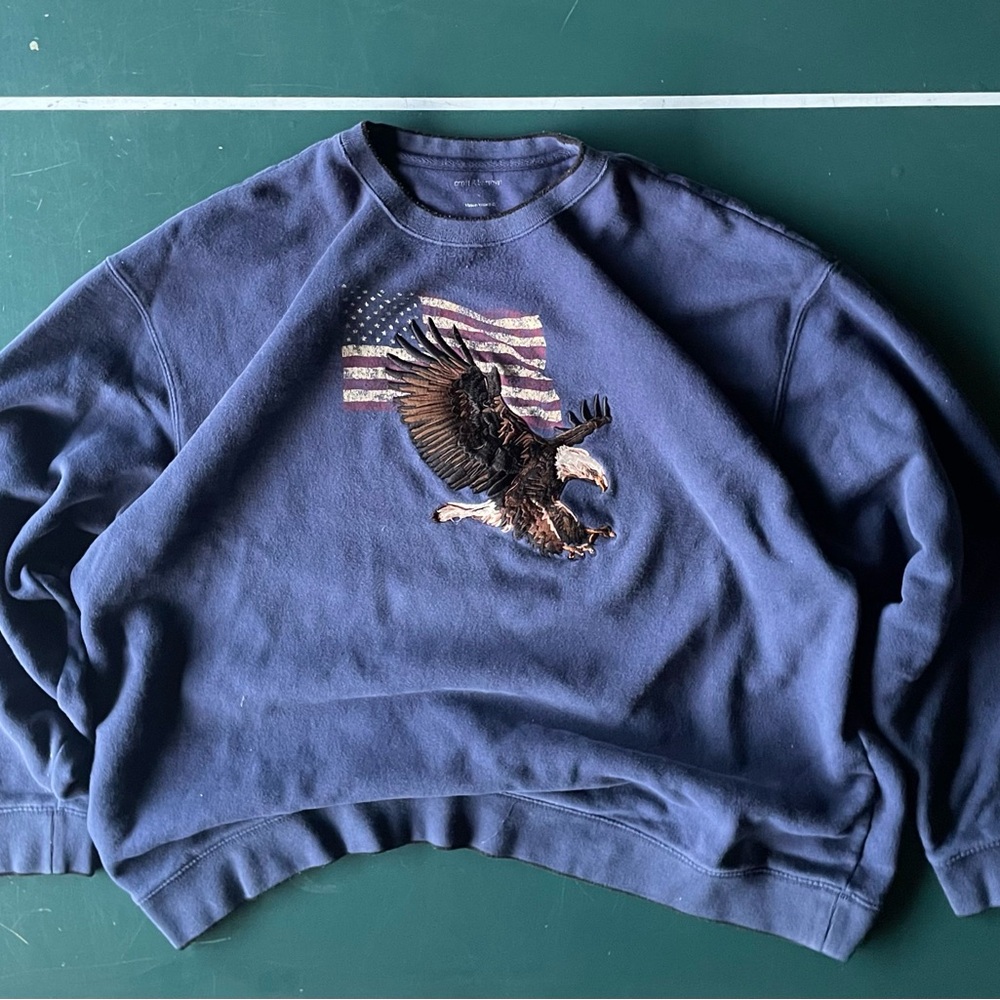 Blue Eagle Graphic Men's Sweater